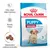 Royal Canin Puppy Medium 2–12 months, etapy: silny układ odpornościowy, rozwój mózgu, odpowiednia wielkość krokietów. Opakowanie z psem i trzema krokietami.