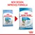 Comparison of old and new Royal Canin Starter Mini packaging, highlighting a new design and improved formula for mother and babydog food, suitable for 1-2 months and up to 10 kg.