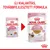 ROYAL CANIN Kitten 85 g tasakos eledel, új csomagolás és továbbfejlesztett formula. Felirat: ÚJ KIALAKÍTÁS, TOVÁBBFEJLESZTETT FORMULA.