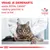 Vraag je dierenarts welke ROYAL CANIN voeding geschikt is voor je kat. VETERINARY NUTRITION.