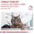 CONSULT YOUR VET to find out which ROYAL CANIN veterinary diet is right for your cat. VETERINARY NUTRITION. Κτηνίατρος με γάτα σε εξεταστικό τραπέζι.