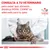 CONSULTA A TU VETERINARIO para saber qué alimento dietético ROYAL CANIN es adecuado para tu gato. VETERINARY NUTRITION. Imagen de un gato en una consulta veterinaria.