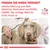 Fragen Sie Ihren Tierarzt, welche Nahrung aus dem Veterinär-Sortiment von Royal Canin die richtige Wahl für Ihren Hund ist. Veterinary Nutrition Logo sichtbar.