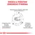 Wiedza u podstaw zdrowego żywienia: wysokostrawne składniki, odpowiedni poziom elektrolitów, kwasy tłuszczowe EPA+DHA, kompleks przeciwutleniaczy, prebiotyki dla mikroflory jelitowej.