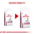 Royal Canin Mobility C2P+ verpakking verandert naar Royal Canin Mobility Support. Tekst: NIEUWE MOBILITY. Beide zakken tonen een hond en het label VETERINARY.