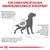 Grafik mit Hund und Text: Für einen spezifischen Ernährungszweck konzipiert. Infos zu Nierenfunktionsstörung bei Hunden, Symptomen wie Futteraversion, erhöhtem Trinken und häufigem Harnausscheiden.
