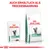 Royal Canin Veterinary Diabetic Katzenfutter, erhältlich als Nass- und Trockenfutter. Verpackungen mit Katze und grünem Label sichtbar.