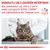 SKONSULTUJ SIĘ Z LEKARZEM WETERYNARII, aby dowiedzieć się, która z karm weterynaryjnych ROYAL CANIN jest odpowiednia dla Twojego kota. VETERINARY NUTRITION.