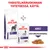 Royal Canin Expert Adult -kuivaruoka ja märkäruoka, ohuita viipaleita kastikkeessa. Teksti: Yhdistelmäruokinnan yhteydessä, käytä: ADULT.