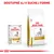 ROYAL CANIN URINARY S/O pre psov, konzerva a balenie granúl. Text: DOSTUPNÉ AJ V SUCHEJ FORME.
