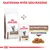 Royal Canin Gastrointestinal Fibre Response kissanruoka, kuivaruoka ja annospussi. Teksti: GASTROINTESTINAL FIBRE RESPONSE PALJOJA KASTIKKEESSA. Saatavana myös säilykkeenä.