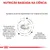 NUTRIÇÃO BASEADA NA CIÊNCIA. Ingredientes de elevada digestibilidade e teor adaptado de eletrólitos. Enriquecido com ácidos gordos ómega-3, EPA+DHA, vitamina E, C e taurina. Elevada palatabilidade.