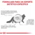 Formulado para un soporte dietético específico. Explicación sobre digestión alterada en gatos, necesidad de fibra y formación de bolas de pelo por el aseo. Imagen de gato con aparato digestivo.