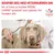 Royal Canin Veterinary Canine Gastrointestinal High Fibre