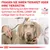Fragen Sie Ihren Tierarzt oder Ihre Tierärztin, welche Nahrung aus dem Veterinär-Sortiment von Royal Canin die richtige Wahl für Ihren Hund ist.