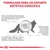 Formulado para un soporte dietético específico. Explicación sobre problemas digestivos en gatos: función digestiva alterada, signos como vómitos y diarrea, necesidad de control calórico.