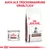 Royal Canin Gastrointestinal Puppy Nass- und Trockenfutter. Hinweis: Auch als Trockennahrung erhältlich.
