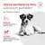 Royal Canin Veterinary Canine Glycobalance Small Dog Royal Canin Veterinary Canine Glycobalance Small Dog