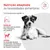 Royal Canin Veterinary Canine Glycobalance Small Dog Royal Canin Veterinary Canine Glycobalance Small Dog