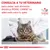 CONSULTA A TU VETERINARIO para saber qué alimento dietético ROYAL CANIN es adecuado para tu gato. Logotipo Veterinary Nutrition. Gato en consulta veterinaria.