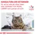 KONSULTERA DIN VETERINÄR för att ta reda på vilket foder eller dietfoder från ROYAL CANIN som passar din katt. VETERINARY NUTRITION.