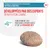 Friandises compatibles avec les aliments hypoallergenic, développées par des experts en nutrition canine, contiennent des protéines hydrolysées et de la vitamine B12.