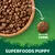Kibble size shown as 10mm diameter with a close-up of one piece and a bowl filled with kibble. Text reads: Superfoods Puppy.