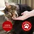 thrive Cat Treats Maxi Tube - Tuna - 180g thrive Cat Treats Maxi Tube - Tuna - 180g