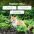 Zesty Paws Urinary & Renal Care Paste Urinary Health