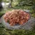Nahaufnahme von rohem Fleisch auf einem Stein in einer Waldumgebung, mit einem Wolf im Hintergrund.