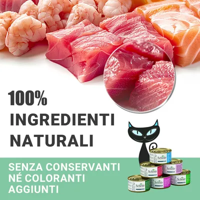 100% ingredienti naturali. Senza conservanti né coloranti aggiunti. Scatolette Schesir per gatti con pesce e gamberi visibili, illustrazione di un gatto nero.