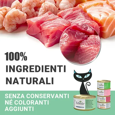 100% ingredienti naturali. Senza conservanti né coloranti aggiunti. Schesir. Immagine di pesce crudo, gamberi e lattine di cibo per gatti Schesir.