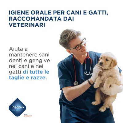 Igiene orale per cani e gatti, raccomandata dai veterinari. Aiuta a mantenere denti e gengive sani negli animali di tutte le taglie e razze. Plaqtiv+ oral care. Igiene orale per cani e gatti, raccomandata dai veterinari. Aiuta a mantenere denti e gengive sani negli animali di tutte le taglie e razze. Plaqtiv+ oral care.