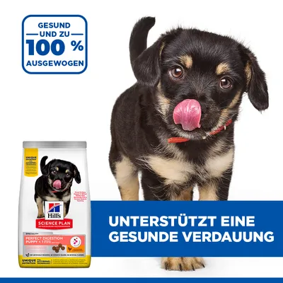 Hill's Science Plan Perfect Digestion Puppy. Zdrava in 100% uravnotežena. Podpira zdravo prebavo.