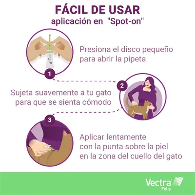 Instrucciones de aplicación spot-on Vectra Felis: presiona el disco pequeño para abrir la pipeta, sujeta suavemente al gato y aplica lentamente en la zona del cuello.