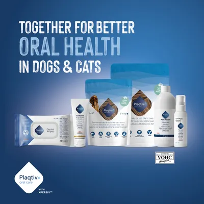 Plaqitv+ oral care products for dogs and cats. Text: Together for better oral health in dogs & cats. VOHC Accepted seal visible. Plaqitv+ oral care products for dogs and cats. Text: Together for better oral health in dogs & cats. VOHC Accepted seal visible.