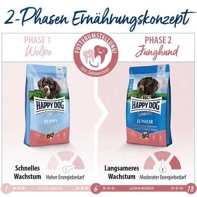 Concept d’alimentation en 2 phases Happy Dog : phase 1 Puppy (poulet, saumon, pomme de terre) pour chiot, phase 2 Junior (poulet, saumon, pomme de terre) pour jeune chien. Texte en allemand.