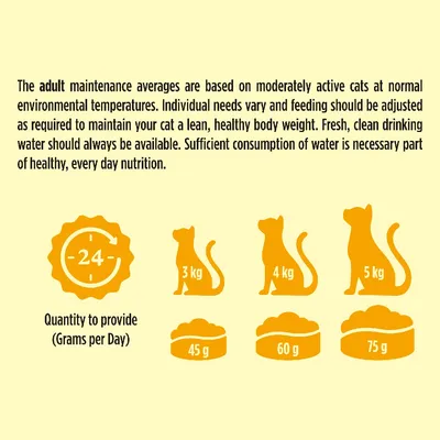 Go-Cat Adult with Herring & Vegetables Go-Cat Adult with Herring & Vegetables