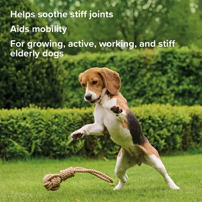 Helps soothe stiff joints, aids mobility, for growing, active, working, and stiff elderly dogs.
