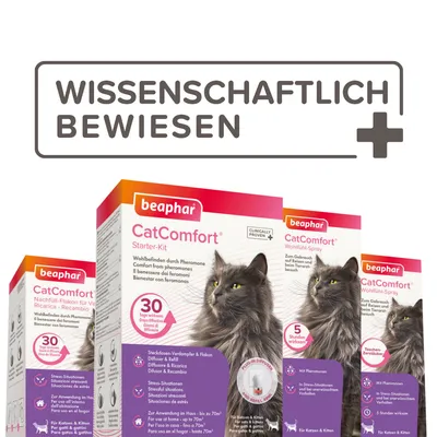 Beaphar CatComfort aloituspakkaus ja hyvinvointisuihke. Tieteellisesti todistettu, feromoneilla kissoille ja kissanpennuille. Vaikuttaa 30 päivää, lievittää stressiä.