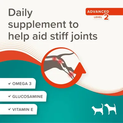 Daily supplement to help aid stiff joints, advanced level 2. Contains omega 3, glucosamine and vitamin E. Diagram highlights joint areas. Silhouettes of a cat and dog shown.