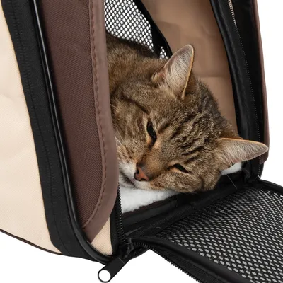 Chat tigré allongé dans une caisse de transport en tissu beige et marron, porte avant ouverte avec maille noire visible.