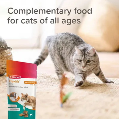 Complementary food for cats of all ages. Beaphar Flexifit Bits maintain flexible joints with omega 3 and glucosamine. Image shows a cat playing indoors next to the product pack.