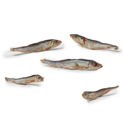 DIBO torkad fisk - Ekonomipack: 2 x 200 g DIBO torkad fisk - Ekonomipack: 2 x 200 g