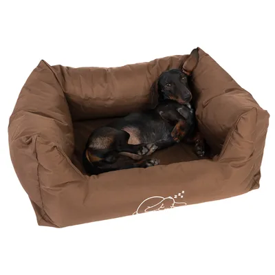 Brunt hundeseng med en afslappet gravhund ovenpå. Hvidt logo med sovende hund synligt på forsiden af sengen.