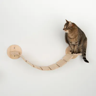 Puente de madera para gatos con fijación a la pared, gato marrón sentado encima. Puente de madera clara con varios peldaños.