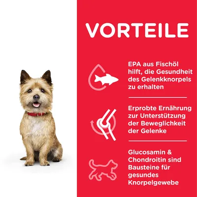 VORTEILE: EPA aus Fischöl hilft, die Gesundheit des Gelenkknorpels zu erhalten. Erprobte Ernährung zur Unterstützung der Beweglichkeit der Gelenke. Glucosamin & Chondroitin sind Bausteine für gesundes Knorpelgewebe. Teksti saksaksi.