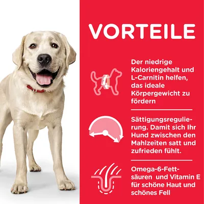 VORTEILE: Niedriger Kaloriengehalt und L-Carnitin fördern ideales Körpergewicht. Sättigungsregulierung für Zufriedenheit zwischen Mahlzeiten. Omega-6-Fettsäuren und Vitamin E für Haut und Fell.