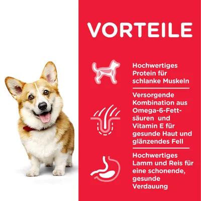 VORTEILE: Hochwertiges Protein für schlanke Muskeln, Omega-6-Fettsäuren und Vitamin E für Haut en vacht, Lamm und Reis voor gezonde spijsvertering. Tekst in het Duits.
