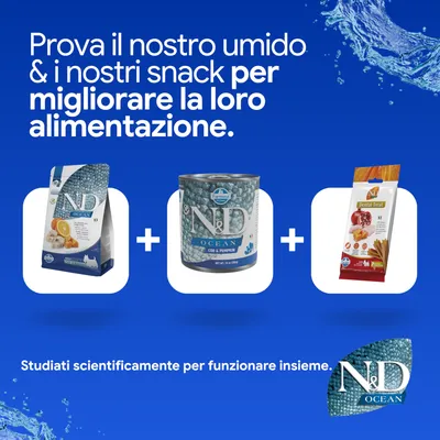N&D Ocean crocchette, alimento umido e Dental Treat. Sviluppato scientificamente per una nutrizione migliorata. N&D Ocean crocchette, alimento umido e Dental Treat. Sviluppato scientificamente per una nutrizione migliorata.